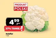 Цвітна капуста Polski