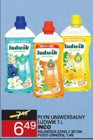 Płyn uniwersalny Ludwik