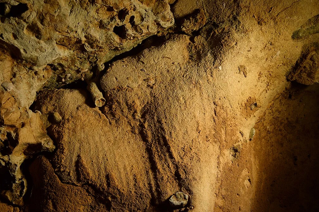 Nowa metoda może pomóc dowiedzieć się więcej np. o twórcach odcisków palców z La Roche-Cotard we Francji. Liczą ok. 75 tys. lat i uznawane są za jeden z najstarszych przykładów sztuki neandertalczyków. Fragment ściany jaskini z wyrytymi prehistorycznymi rysunkami i naturalnymi odbarwieniami oraz strukturą skały.