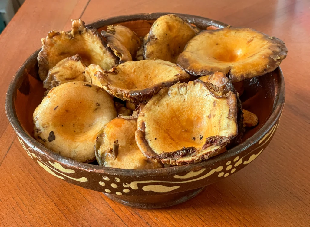 Miseczka z dekoracyjnym wzorem wypełniona świeżymi, podsmażonymi rydzami, ustawiona na drewnianym stole. Grzyby mają żółtobrązowe kapelusze z lekko podwiniętymi brzegami.