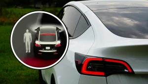 Tesla na cmentarzu "widzi" duchy? Eksperci rozwiewają wątpliwości