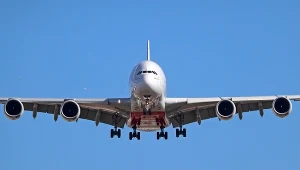 Znany przewoźnik szuka pracowników, rekrutuje w Polsce. Oto warunki