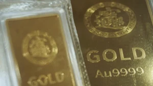 Niezwykłe znalezisko w trakcie koszenia trawy. Policja szuka właścicieli