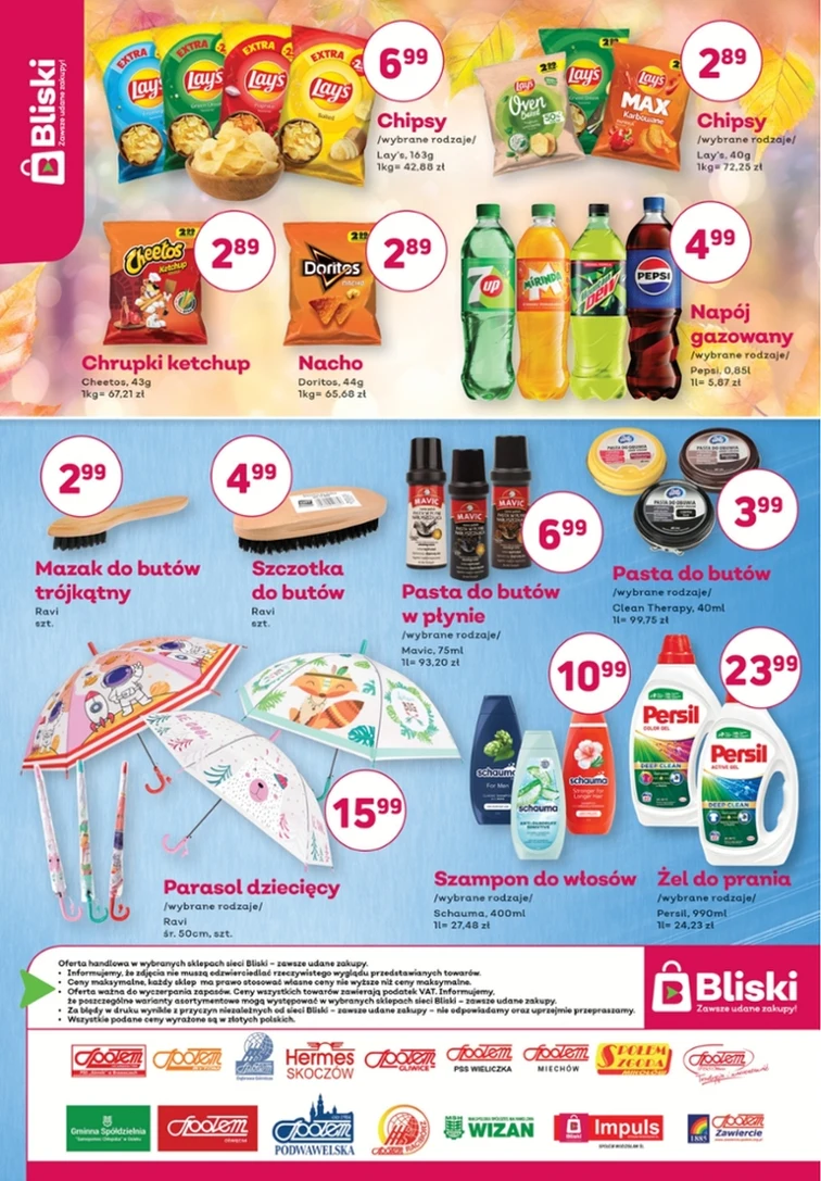 leaflet page preview image