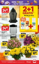 Суперхіти тижня - POLOmarket