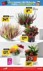 SuperHity Tygodnia - POLOmarket