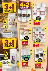 Znicze i świece GRATIS - Twój Market