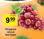 Winogrona