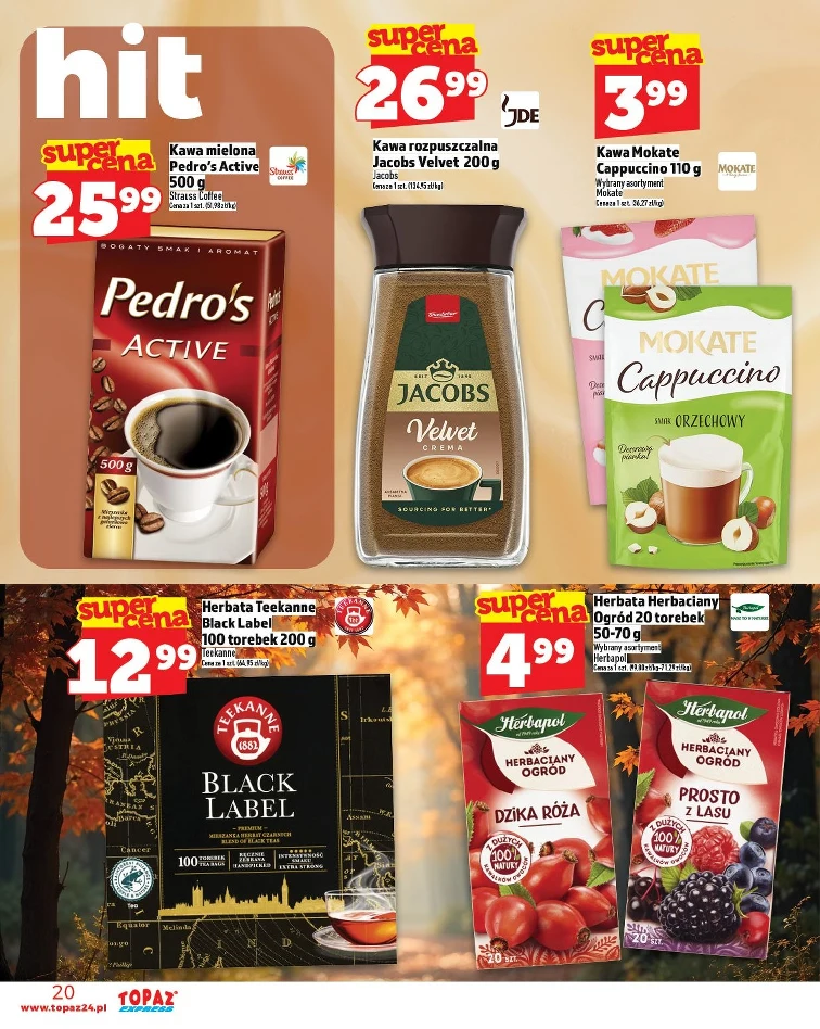 leaflet page preview image