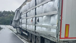 Ciężarówka z Danii wiozła tajemnicze pakunki. Celnicy mocno się zdziwili
