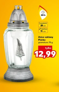 Znicz