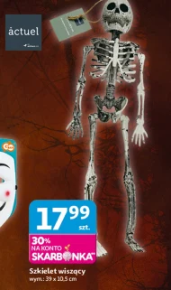 Szkielet Actuel