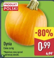 Dynia Polski