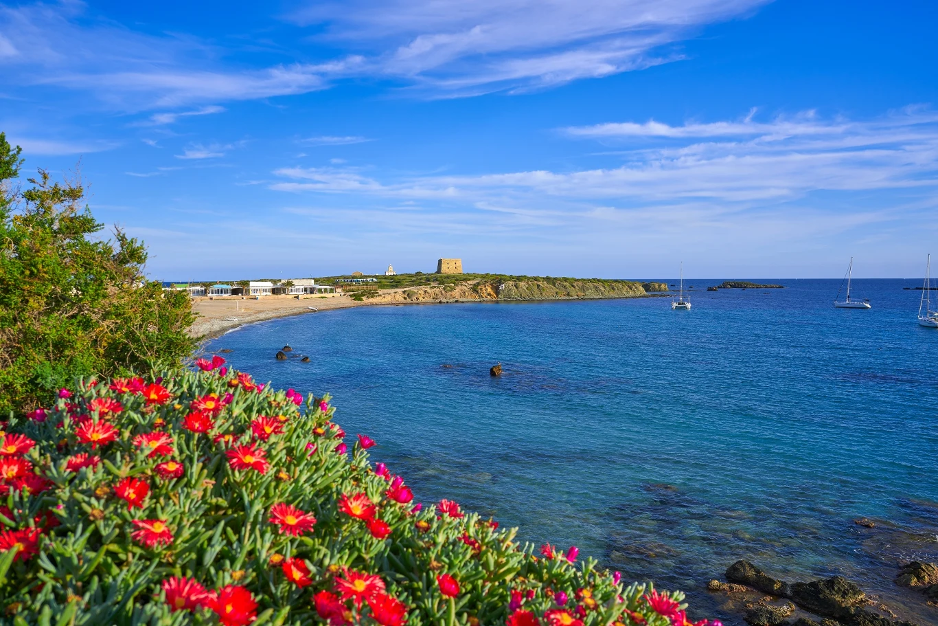 Plaża Nova Tabarca na "wyspie kotów" Plaża Nova Tabarca na "wyspie kotów"