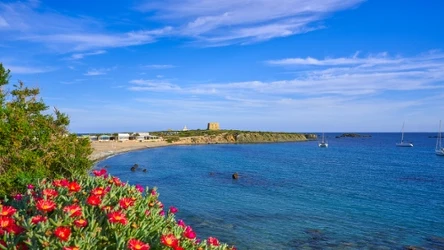 Plaża Nova Tabarca na "wyspie kotów"