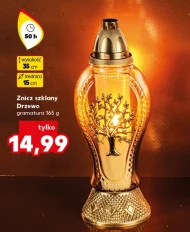 Znicz