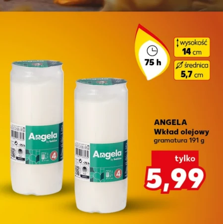 Wkład olejowy Angela