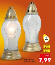 Znicz