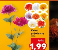 Kwiat