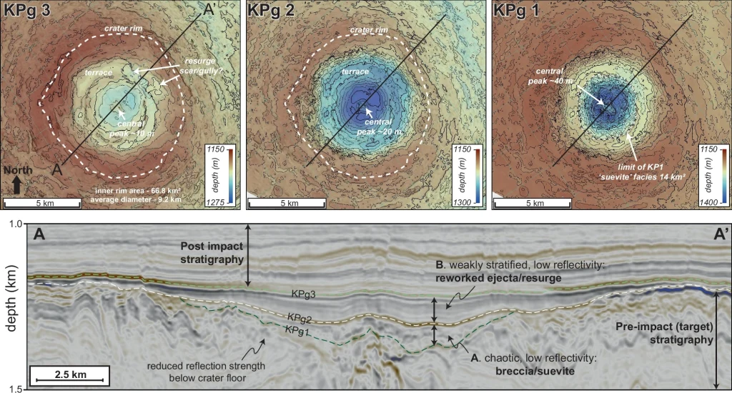 Nowe dane pomogły lepiej zrozumieć przebieg katastrofy na Oceanie Atlantyckim. Kolorowe mapy topograficzne oraz przekrój geologiczny dużego krateru uderzeniowego z wyraźnymi warstwami osadów potransformacyjnych i brekcji, zielono-niebieskie i brązowe barwy obrazują różnice wysokości oraz głębokość struktur pod powierzchnią, wyraź...