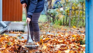 Przeczytaj, zanim zaczniesz porządki na działce. Mandaty są ogromne