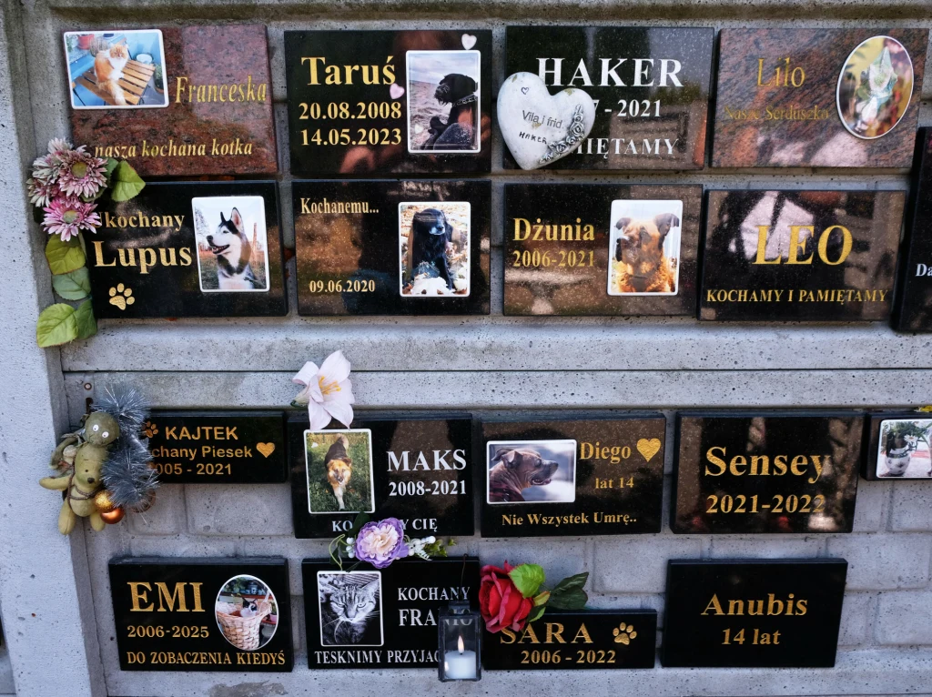 Cmentarz dla zwierząt w Kilianowie Tablica pamiątkowa z fotografiami i imionami zmarłych zwierząt domowych, przyozdobiona kwiatami oraz pluszowymi zabawkami.