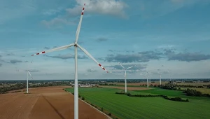 Plan Transformacji to odpowiedź mBanku na wyzwania związane z zieloną zmianą 