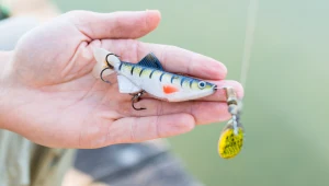 Polacy wyrzucają je gdzie popadnie. Dla ptaków to wyrok śmierci