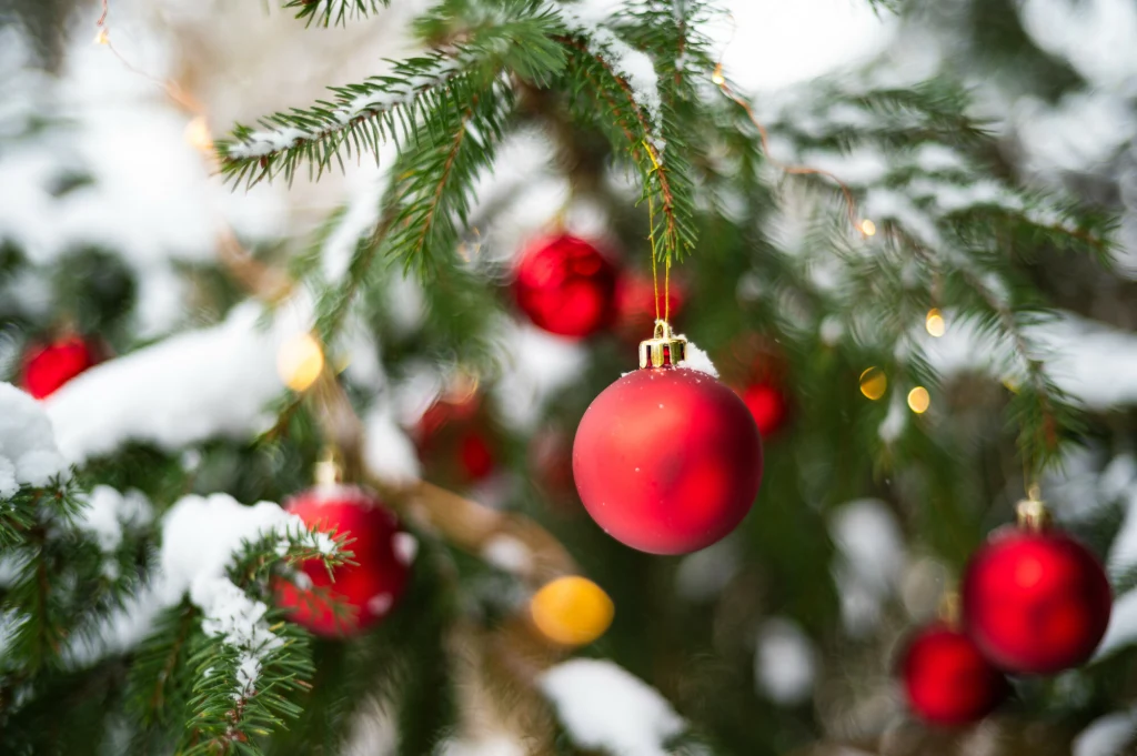 Czy czekają nas wreszcie "białe święta"? Synoptycy już wiedzą 