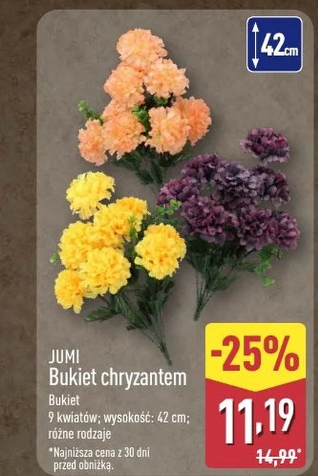 Chryzantema Jumi