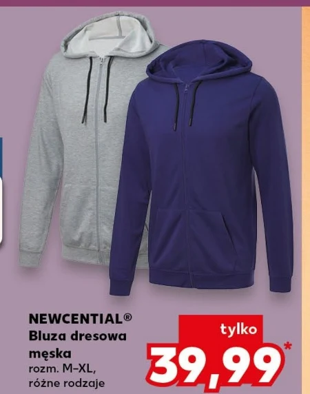 Світшот Newcential