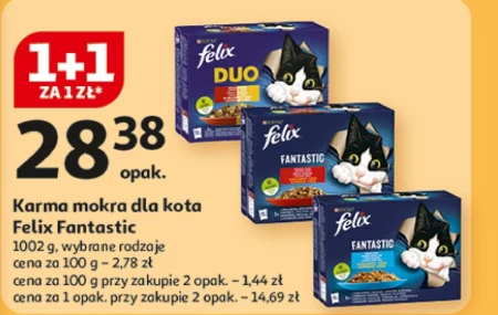 Mokra karma dla kota Felix