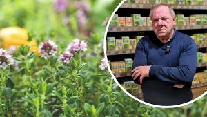 Polska firma ucierpiała w pożarze, ruszyła pomoc. "Trudno znaleźć słowa"