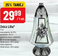 Znicz