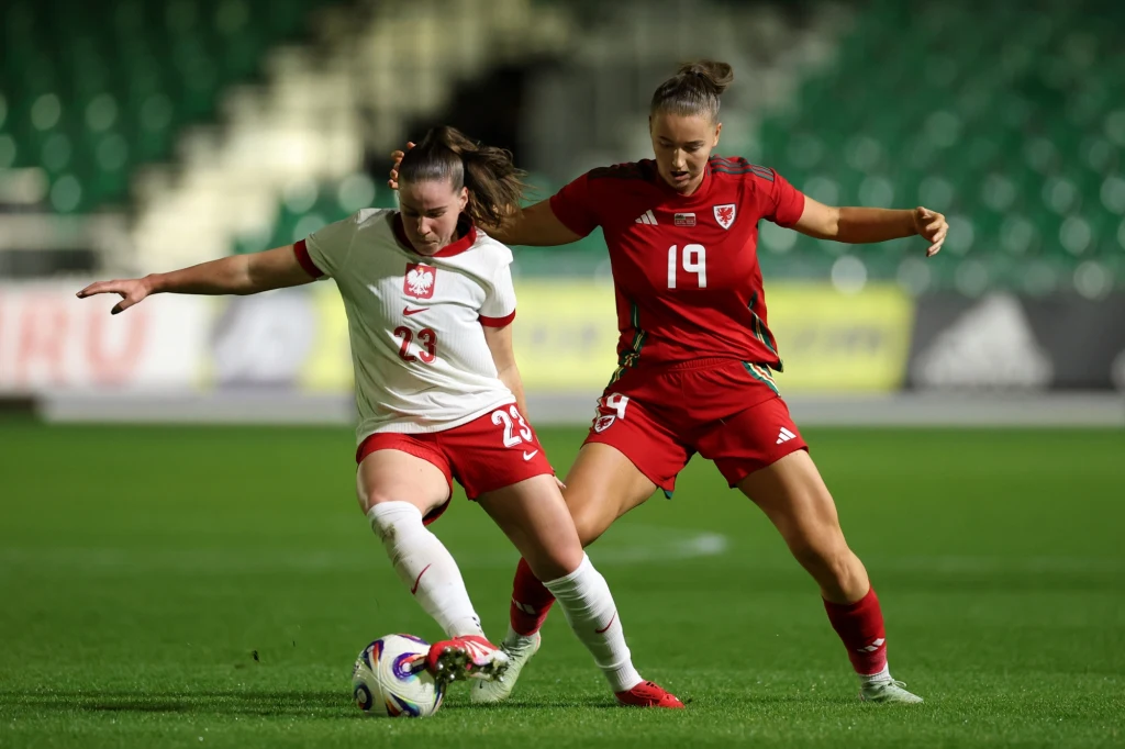 Kadr z meczu Polska - Walia Kadr z meczu Polska - Walia