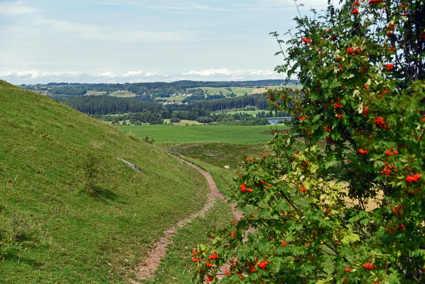 Suwalski Park Krajobrazowy jest najstarszym tego typu obszarem w Polsce. Region ten często określany jest "polskim biegunem zimna" Suwalski Park Krajobrazowy jest najstarszym tego typu obszarem w Polsce. Region ten często określany jest "polskim biegunem zimna"