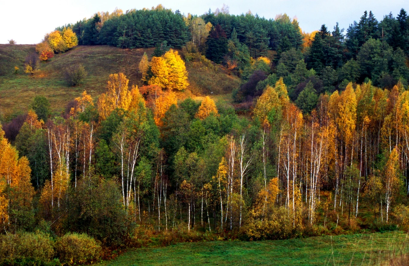 Suwalszczyzna nazywana jest polskim biegunem zimna Suwalszczyzna nazywana jest polskim biegunem zimna
