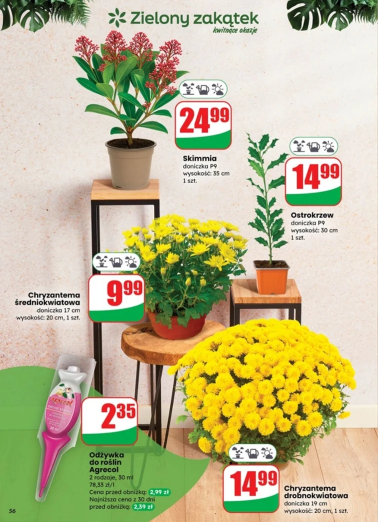 leaflet page preview image