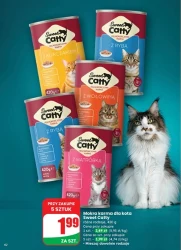 Jesienne smaki i super rabaty – Dino