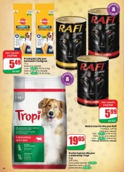 Jesienne smaki i super rabaty – Dino