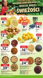 Duzy wybór zniczy i kwiatów - Intermarche