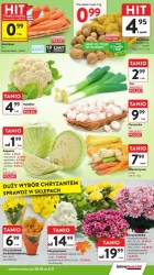 Duzy wybór zniczy i kwiatów - Intermarche