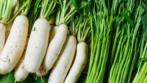 Rzodkiew japońska (Raphanus sativus var. longipinnatus).