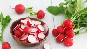 Rzodkiewka (Raphanus dativus var. radicula). Fot. 123RF. com