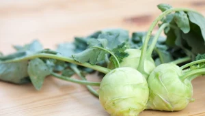 Kalarepa (Brassica oleracea var. gongylodes).