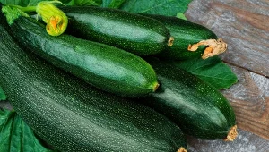 Cukinia (Cucurbita pepo var. giromontiina).