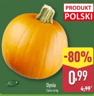 Dynia Polski