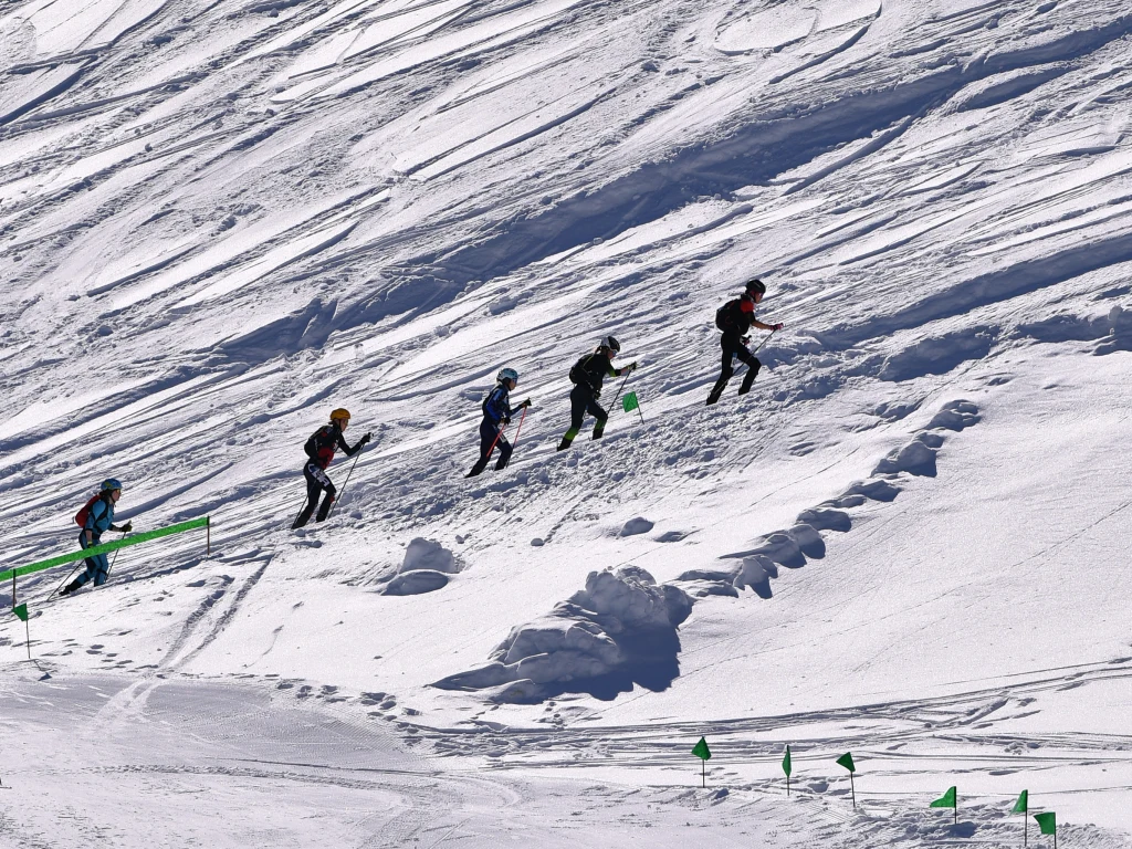 Skialpinizm to dyscyplina, która debiutuje na zimowych igrzyskach olimpijskich Czterech narciarzy wspina się pod górę po zaśnieżonym stoku, obierając trasę wyznaczoną przez zielone chorągiewki, ubrani w kaski i sportową odzież.