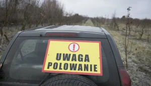 Myśliwy gonił autem fotografa przyrody. Był pod wpływem alkoholu