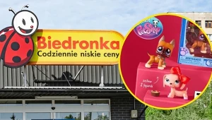 Te urocze figurki podbijają serca dzieci! Teraz kupisz je w Biedronce za mniej niż 40 zł!